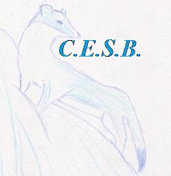 Logo-CESB