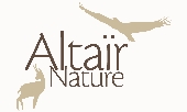 Altair Logo r