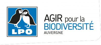 LPO_auvergne_en haut-gauche