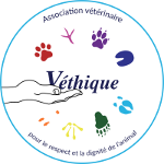 Logo Véthique r