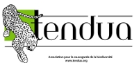 Tendua logo r