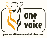 onevoice_logo